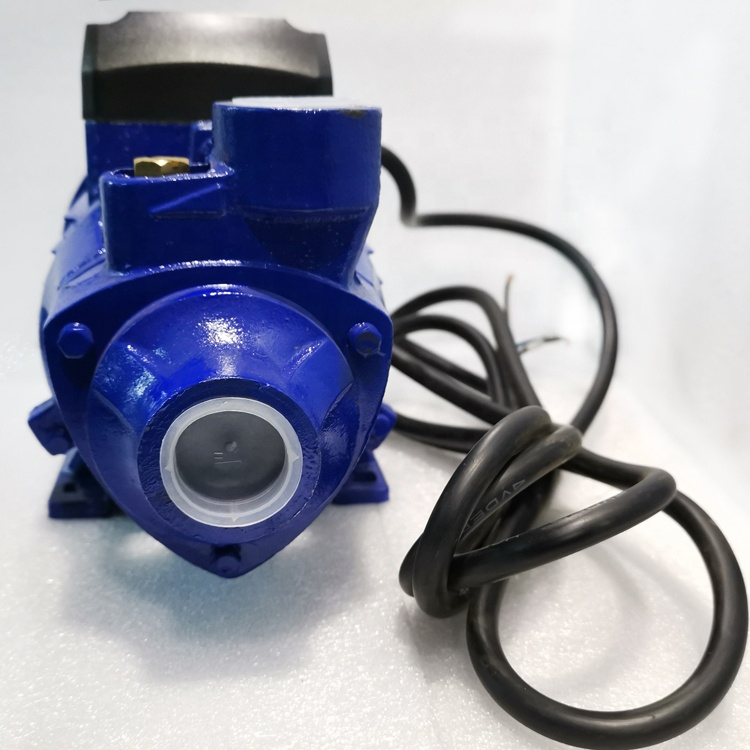 Pompe à Eau Solaire Hybride 0,75 CV 1,0 CV Pompe Submersible Pour Puits Fores Pompe A Eau Solaire Sans Balais En Acier Inoxydable Pour Puits Profonds